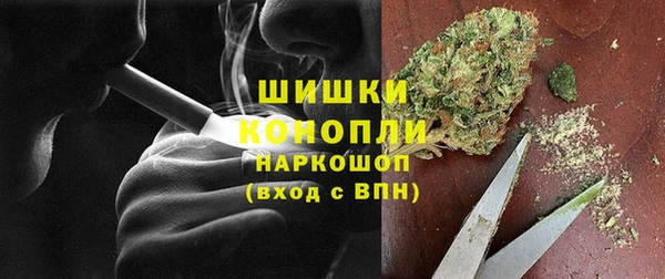 сатива Абаза