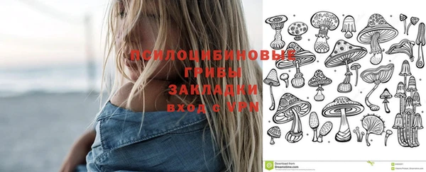 сатива Абаза
