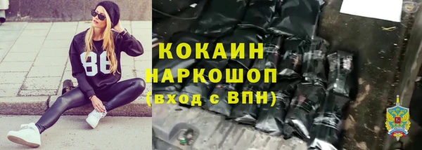 сатива Абаза