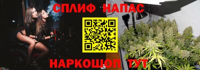 ECSTASY Новозыбков