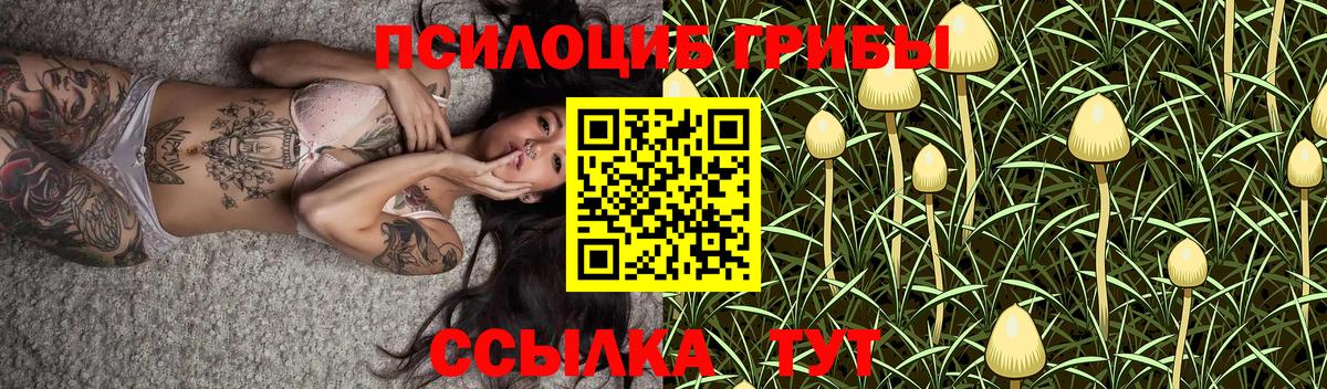 Галлюциногенные грибы Magic Shrooms  наркошоп  Ялта  Вход с VPN 